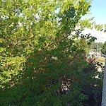 Sokola Deluxe 2 Free Parking بوزنان